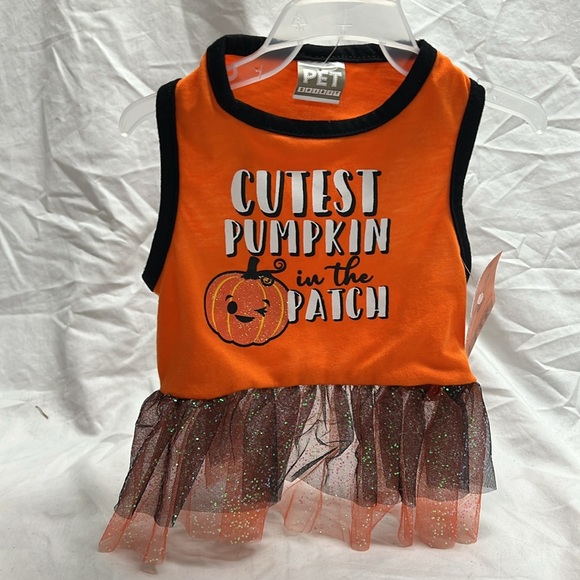 Cutest pumpkin in the patch outfit - Picture 1 of 6